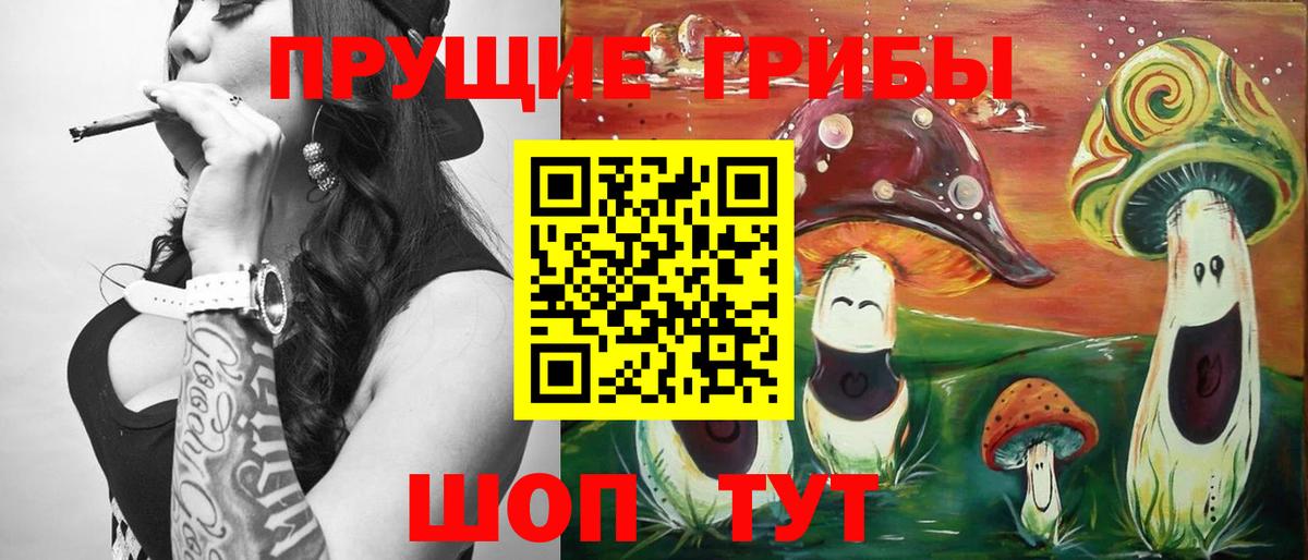 Галлюциногенные грибы GOLDEN TEACHER  Вход с VPN  Галлюциногенные грибы Psilocybine cubensis  купить  цена  Коммунар 
